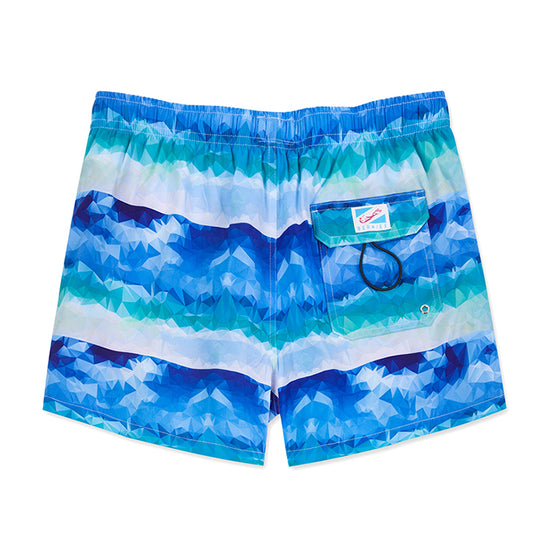 Playful & Cute Element Design Collection Holiday Swim Shorts