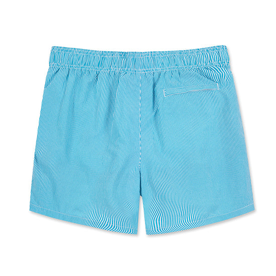 Stripe Design Collection Holiday Swim Shorts