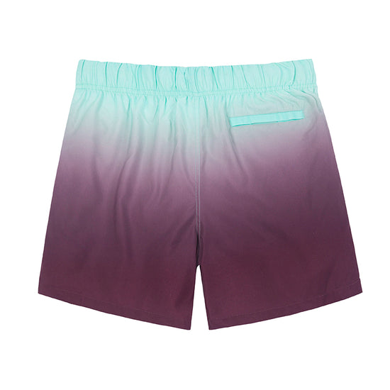 Color Gradient Collection Holiday Swim Shorts