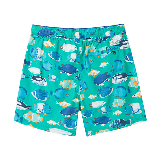 Colorful Design Elements Collection Holiday Swim Shorts