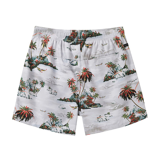 Fashion Element Design Collection Holiday Swim Shorts
