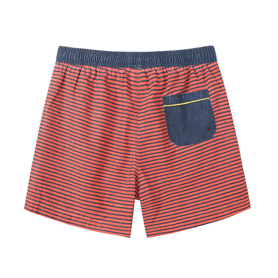 Striped Collection Washed Vintage Swim Shorts