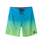 Color Gradient Collection Performance Board Shorts