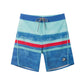 Color Gradient Collection Performance Board Shorts