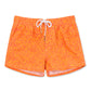 Playful & Cute Element Design Collection Holiday Swim Shorts