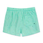 Playful & Cute Element Design Collection Holiday Swim Shorts
