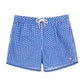 Playful & Cute Element Design Collection Holiday Swim Shorts