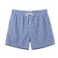 Playful & Cute Element Design Collection Holiday Swim Shorts