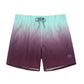 Color Gradient Collection Holiday Swim Shorts