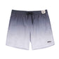 Color Gradient Collection Holiday Swim Shorts