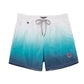 Color Gradient Collection Holiday Swim Shorts