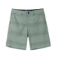 Striped Collection Hybrid Walk Shorts