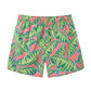 Leaf Printed Collection Holiday Swim Shorts