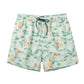 Fashion Element Design Collection Holiday Swim Shorts