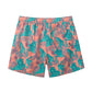 Leaf Printed Collection Holiday Swim Shorts