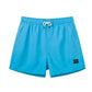 Solid Colors Design Collection Holiday Swim Shorts