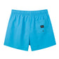 Solid Colors Design Collection Holiday Swim Shorts