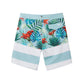 Flower & Colorblock Design Collection Performance Board Shorts