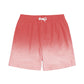 Color Gradient Collection Holiday Swim Shorts