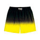 Color Gradient Collection Holiday Swim Shorts